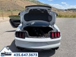 2017 Mustang Thumbnail 25