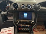 2019 Mustang Thumbnail 13