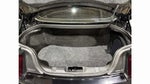 2019 Mustang Thumbnail 28