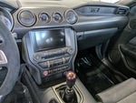 2019 Mustang Thumbnail 22