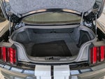2019 Mustang Thumbnail 27