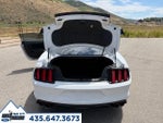 2016 Mustang Thumbnail 25