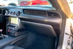 2017 Mustang Thumbnail 15