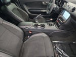 2017 Mustang Thumbnail 14