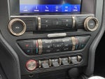 2019 Mustang Thumbnail 19