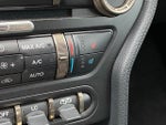 2019 Mustang Thumbnail 20