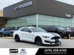2019 Mustang Thumbnail 1