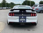2019 Mustang Thumbnail 6