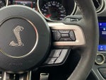 2019 Mustang Thumbnail 14