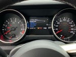 2019 Mustang Thumbnail 15