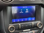 2019 Mustang Thumbnail 18
