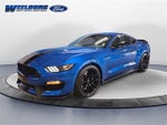 2019 Mustang Thumbnail 1