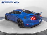 2019 Mustang Thumbnail 3