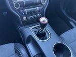 2020 Mustang Thumbnail 21