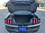 2020 Mustang Thumbnail 25