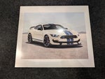 2020 Mustang Thumbnail 35