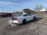 2019 Mustang Thumbnail 14