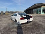 2019 Mustang Thumbnail 17