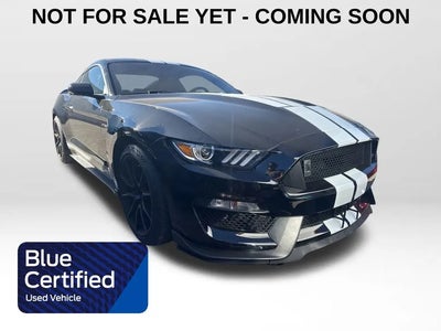 2019 Ford Mustang Shelby GT350 2DR Fastback