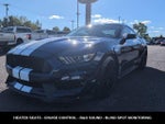 2019 Mustang Thumbnail 8