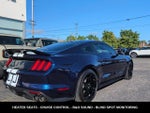 2019 Mustang Thumbnail 11
