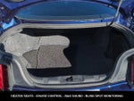 2019 Mustang Thumbnail 13