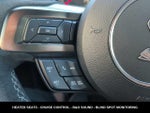 2019 Mustang Thumbnail 20