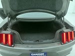 2017 Mustang Thumbnail 20