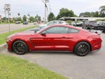 2019 Mustang Thumbnail 4