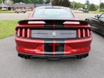 2019 Mustang Thumbnail 6