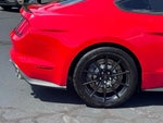 2016 Mustang Thumbnail 5