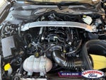 2016 Mustang Thumbnail 9