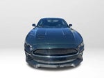 2019 Mustang Thumbnail 6