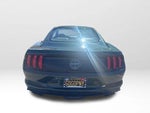 2019 Mustang Thumbnail 8