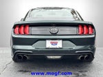 2020 Mustang Thumbnail 25