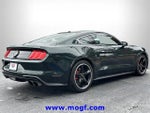 2020 Mustang Thumbnail 27