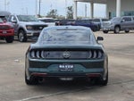 2019 Mustang Thumbnail 4
