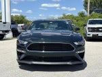 2019 Mustang Thumbnail 2