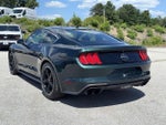 2019 Mustang Thumbnail 8