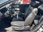 2019 Mustang Thumbnail 11