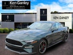 2019 Mustang Thumbnail 3