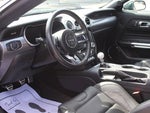 2019 Mustang Thumbnail 14