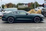 2019 Mustang Thumbnail 3