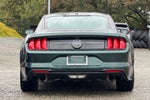 2019 Mustang Thumbnail 5