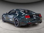 2019 Mustang Thumbnail 3