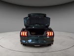 2019 Mustang Thumbnail 7
