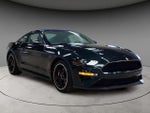 2019 Mustang Thumbnail 15