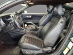 2019 Mustang Thumbnail 21