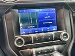 2021 Mustang Thumbnail 18
