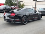 2023 Mustang Thumbnail 13